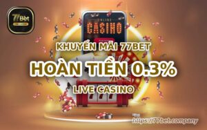 hoan tien 0 cham 3 phan tram khi choi live casino 77bet