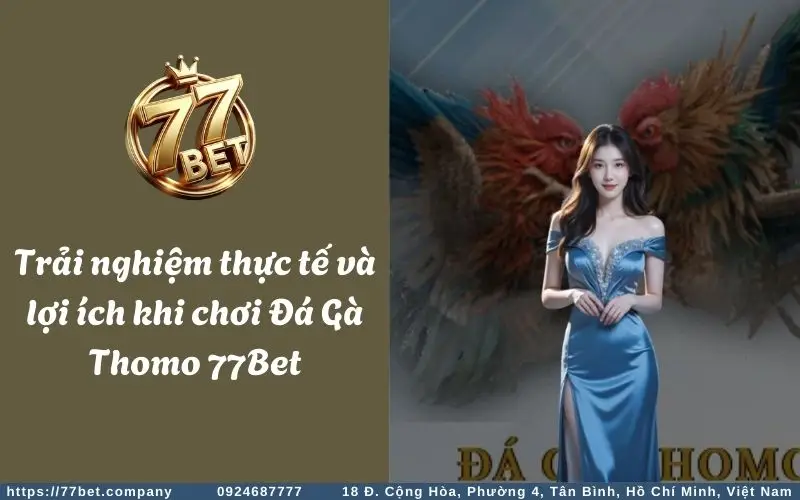 Lý do nhiều anh em kê thủ yêu thích và lựa chọn Đá Gà Thomo 77Bet