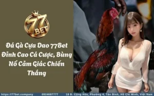da ga cua dao 77bet dinh cao ca cuoc bung no cam giac chien thang