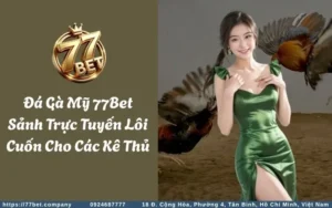 da ga my 77bet sanh truc tuyen loi cuon cho cac ke thu