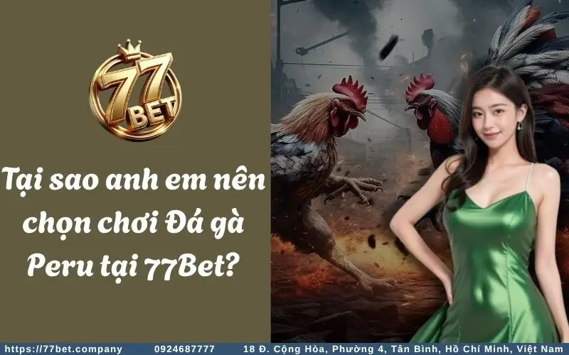 Đá Gà Peru - Trải nghiệm cá cược đỉnh cao dành cho kê thủ 3 Tai sao anh em nen chon choi ca cuoc Da Ga Peru tai 77Bet?