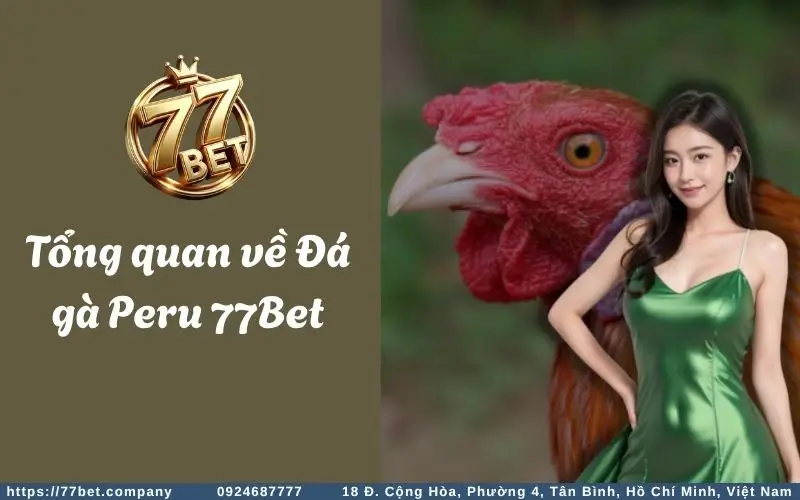 Đá Gà Peru - Trải nghiệm cá cược đỉnh cao dành cho kê thủ 2 Tong quan ve Da Ga Peru 77Bet